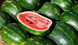 开心吃瓜免费看全集,揭秘开心吃瓜免费看全集的精彩内容